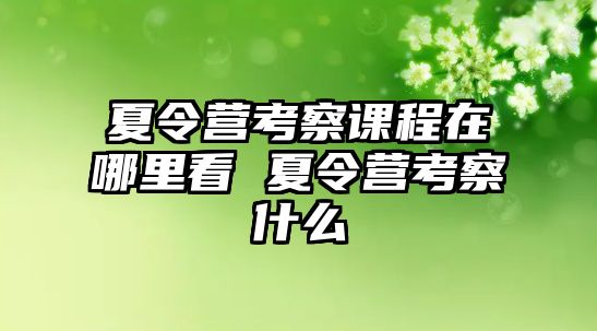 夏令營考察課程在哪里看 夏令營考察什么