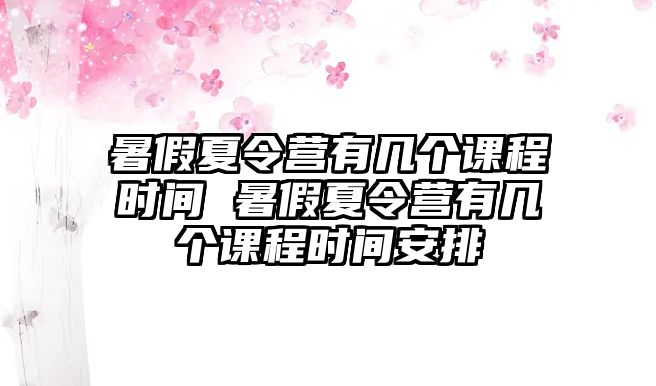 暑假夏令營有幾個課程時間 暑假夏令營有幾個課程時間安排