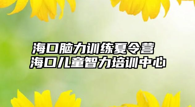 海口腦力訓練夏令營 海口兒童智力培訓中心