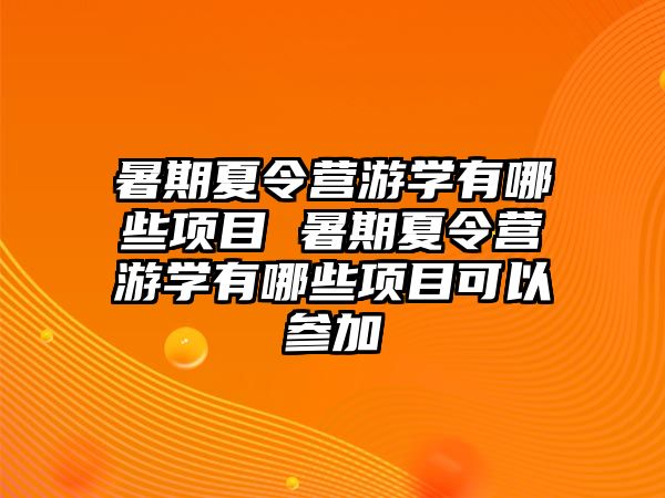 暑期夏令營游學有哪些項目 暑期夏令營游學有哪些項目可以參加