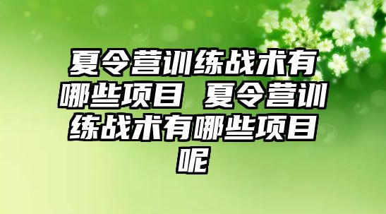 夏令營訓練戰術有哪些項目 夏令營訓練戰術有哪些項目呢