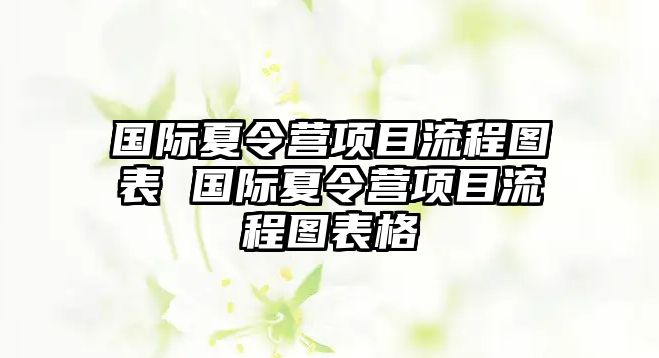 國際夏令營項目流程圖表 國際夏令營項目流程圖表格