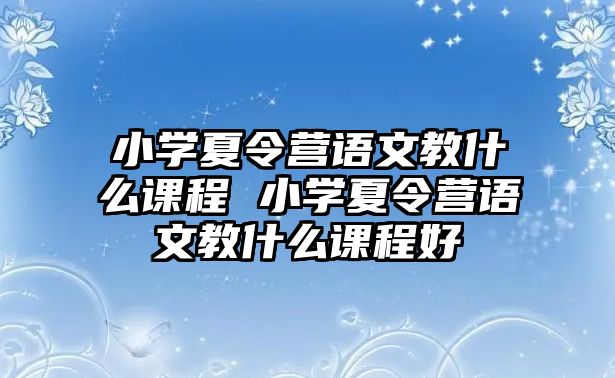 小學夏令營語文教什么課程 小學夏令營語文教什么課程好