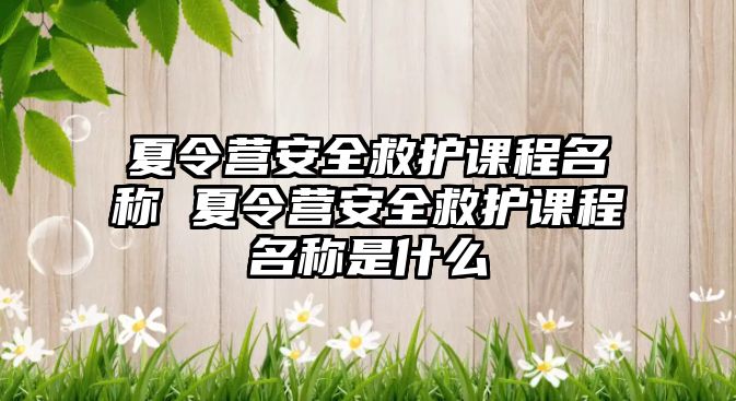 夏令營安全救護課程名稱 夏令營安全救護課程名稱是什么