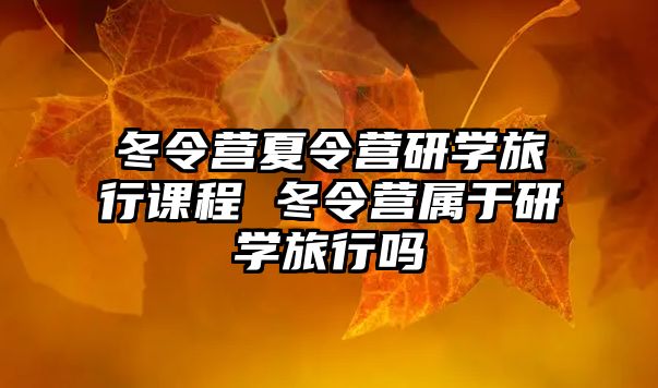 冬令營夏令營研學旅行課程 冬令營屬于研學旅行嗎