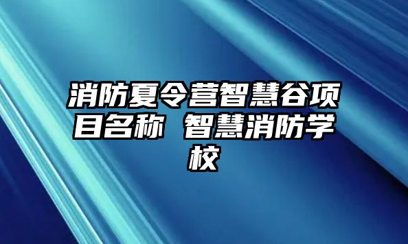 消防夏令營(yíng)智慧谷項(xiàng)目名稱 智慧消防學(xué)校