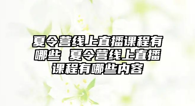 夏令營線上直播課程有哪些 夏令營線上直播課程有哪些內容