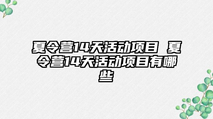 夏令營14天活動項目 夏令營14天活動項目有哪些