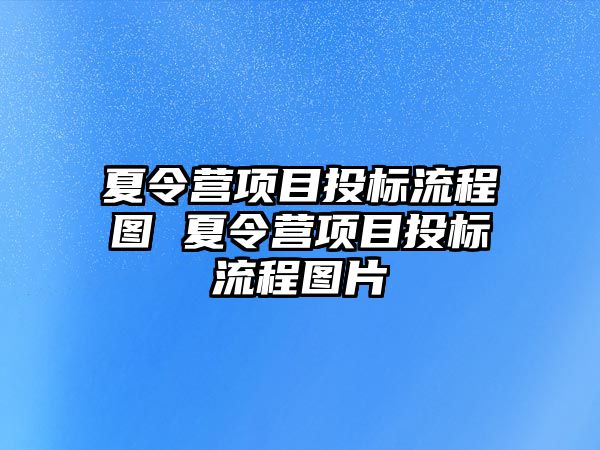 夏令營項目投標流程圖 夏令營項目投標流程圖片