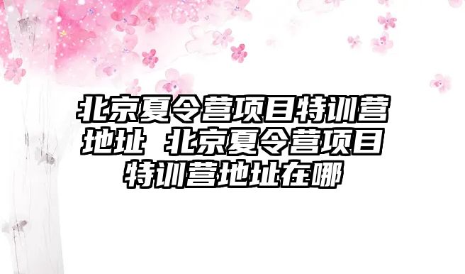 北京夏令營項目特訓營地址 北京夏令營項目特訓營地址在哪