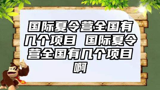 國際夏令營全國有幾個項目 國際夏令營全國有幾個項目啊