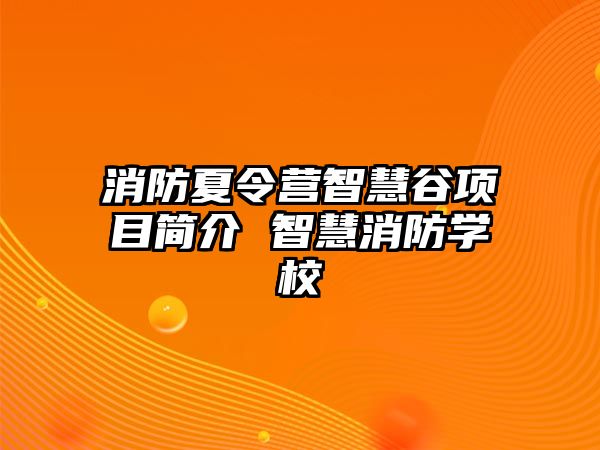 消防夏令營智慧谷項目簡介 智慧消防學校