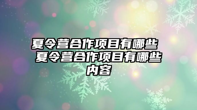 夏令營合作項目有哪些 夏令營合作項目有哪些內容