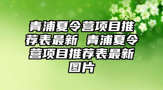 青浦夏令營項目推薦表最新 青浦夏令營項目推薦表最新圖片