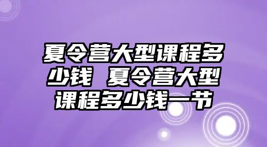 夏令營(yíng)大型課程多少錢 夏令營(yíng)大型課程多少錢一節(jié)