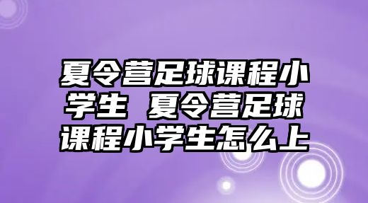 夏令營足球課程小學生 夏令營足球課程小學生怎么上