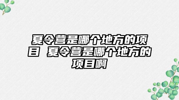 夏令營是哪個(gè)地方的項(xiàng)目 夏令營是哪個(gè)地方的項(xiàng)目啊