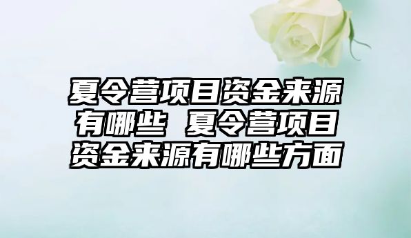 夏令營項目資金來源有哪些 夏令營項目資金來源有哪些方面