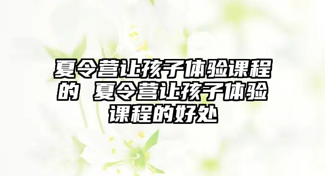 夏令營讓孩子體驗課程的 夏令營讓孩子體驗課程的好處