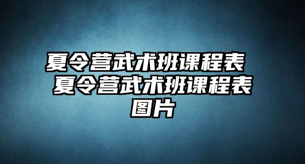 夏令營武術(shù)班課程表 夏令營武術(shù)班課程表圖片