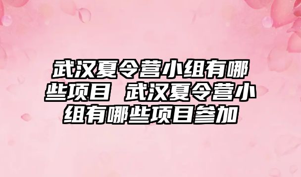 武漢夏令營小組有哪些項目 武漢夏令營小組有哪些項目參加