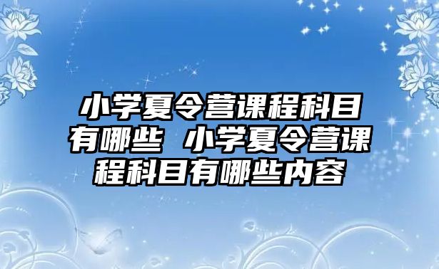 小學夏令營課程科目有哪些 小學夏令營課程科目有哪些內容