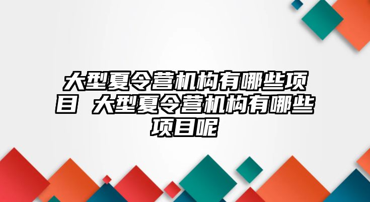 大型夏令營機構有哪些項目 大型夏令營機構有哪些項目呢