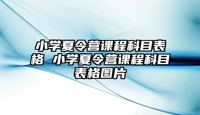 小學(xué)夏令營(yíng)課程科目表格 小學(xué)夏令營(yíng)課程科目表格圖片