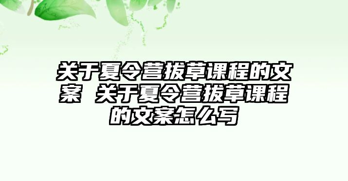 關于夏令營拔草課程的文案 關于夏令營拔草課程的文案怎么寫