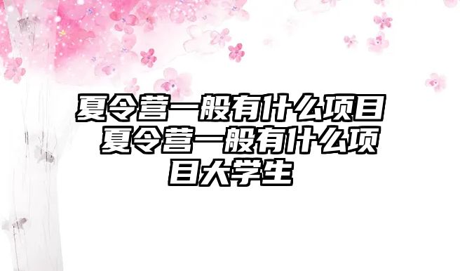 夏令營一般有什么項目 夏令營一般有什么項目大學生