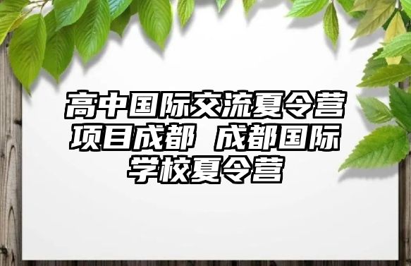 高中國際交流夏令營項目成都 成都國際學校夏令營