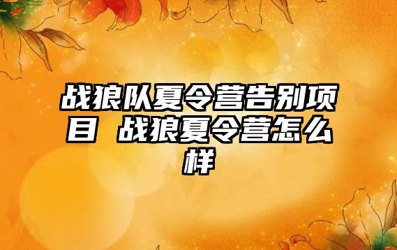 戰狼隊夏令營告別項目 戰狼夏令營怎么樣