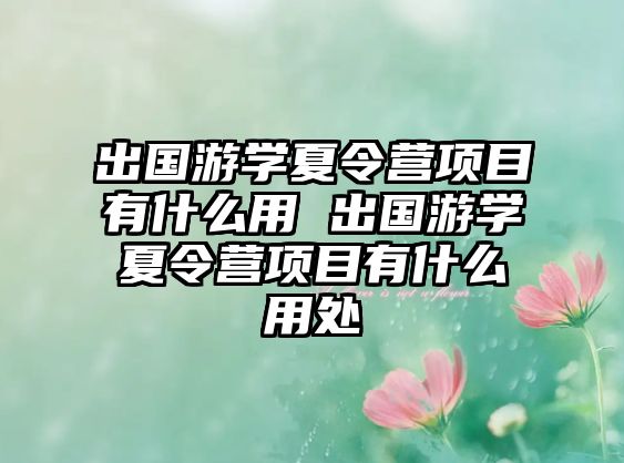 出國游學(xué)夏令營項目有什么用 出國游學(xué)夏令營項目有什么用處