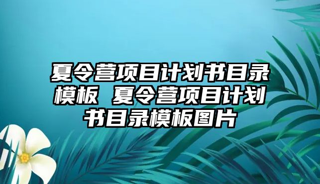 夏令營(yíng)項(xiàng)目計(jì)劃書(shū)目錄模板 夏令營(yíng)項(xiàng)目計(jì)劃書(shū)目錄模板圖片