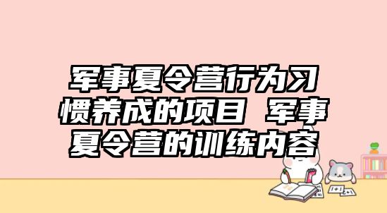 軍事夏令營行為習慣養(yǎng)成的項目 軍事夏令營的訓練內容