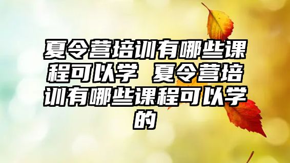 夏令營培訓有哪些課程可以學 夏令營培訓有哪些課程可以學的