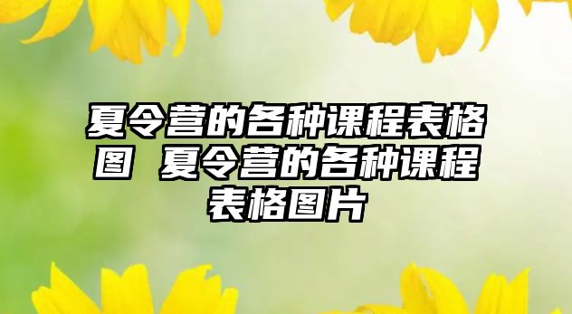 夏令營的各種課程表格圖 夏令營的各種課程表格圖片