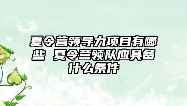 夏令營領導力項目有哪些 夏令營領隊應具備什么條件