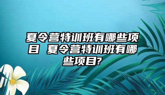 夏令營特訓班有哪些項目 夏令營特訓班有哪些項目?