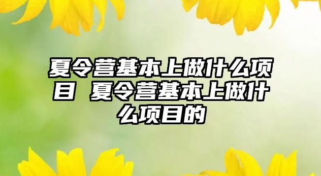 夏令營基本上做什么項目 夏令營基本上做什么項目的