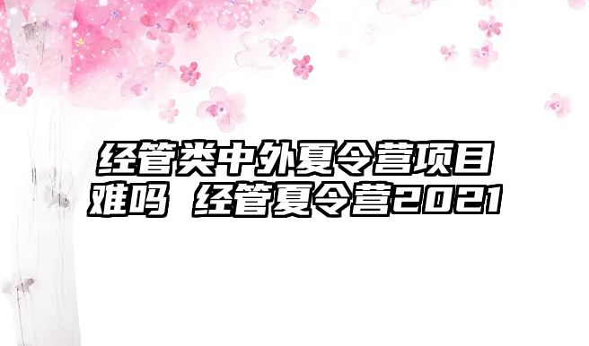 經管類中外夏令營項目難嗎 經管夏令營2021