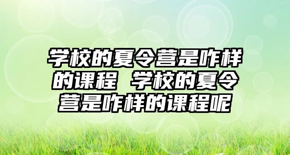 學校的夏令營是咋樣的課程 學校的夏令營是咋樣的課程呢