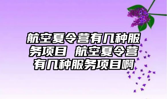 航空夏令營有幾種服務項目 航空夏令營有幾種服務項目啊