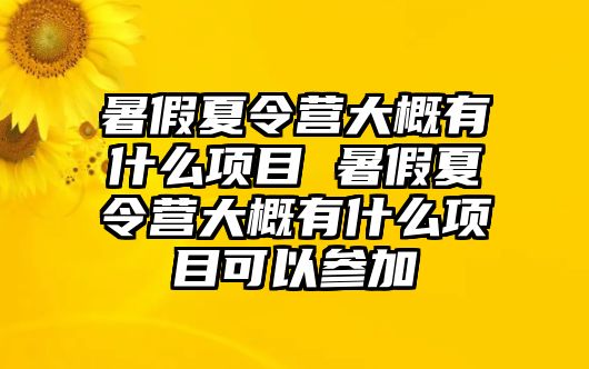 暑假夏令營大概有什么項目 暑假夏令營大概有什么項目可以參加