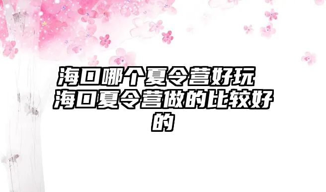 海口哪個夏令營好玩 海口夏令營做的比較好的