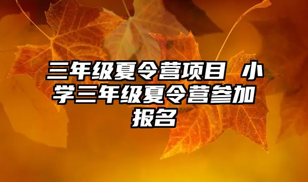 三年級夏令營項目 小學三年級夏令營參加報名