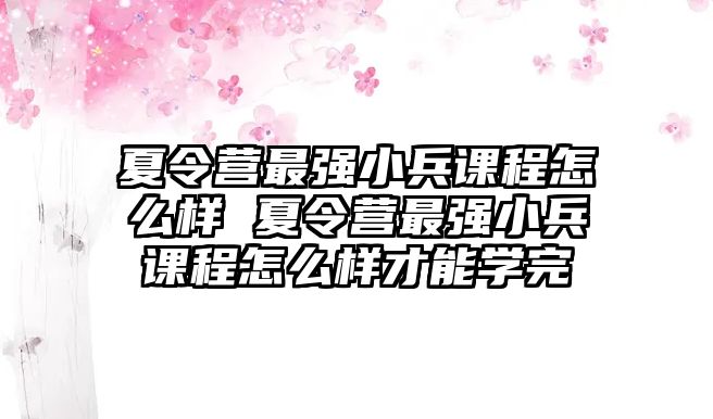 夏令營最強小兵課程怎么樣 夏令營最強小兵課程怎么樣才能學完