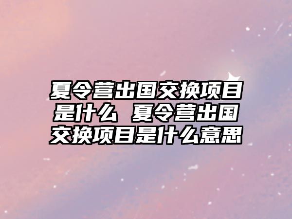 夏令營出國交換項目是什么 夏令營出國交換項目是什么意思