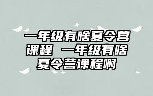 一年級有啥夏令營課程 一年級有啥夏令營課程啊