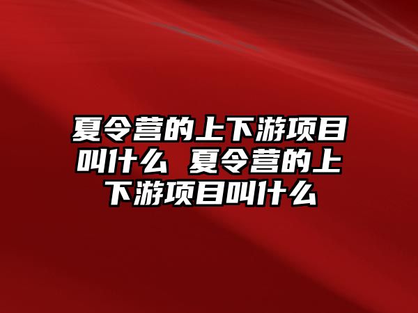 夏令營的上下游項目叫什么 夏令營的上下游項目叫什么